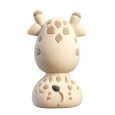 USB-C-stick Giraffe 32GB